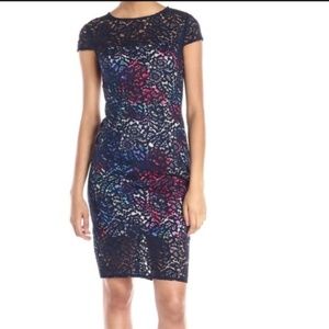 Elegant Multicolor Lace Dress
